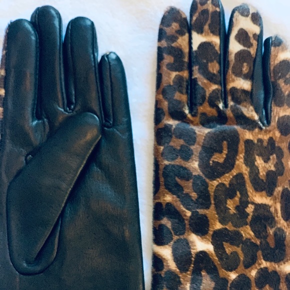 J. McLaughlin Accessories - J.McLaughlin Women's Camilla Gloves